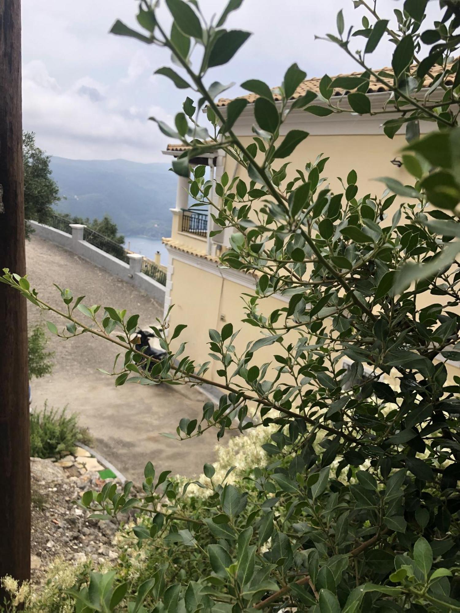 Mariza'S View House Διαμέρισμα Λάκωνες Εξωτερικό φωτογραφία